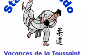Stage de Judo pendant les vacances