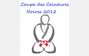 Coupe des Ceintures Noires 2012