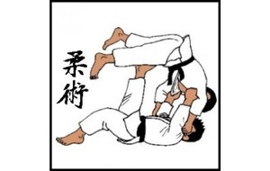 Cours de Jujitsu