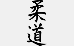 Examens de Katas à Poissy