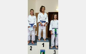 Championnat des Yvelines - Minimes