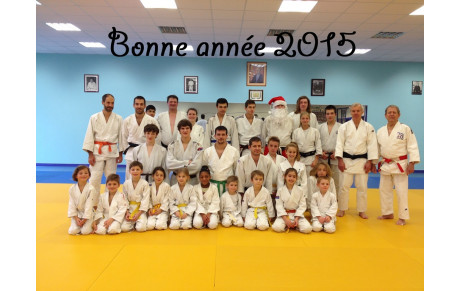 Bonne Année 2015